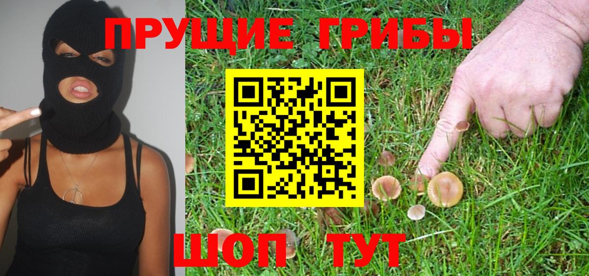 Галлюциногенные грибы GOLDEN TEACHER  Вход с VPN  Советская Гавань  Галлюциногенные грибы Psilocybine cubensis 